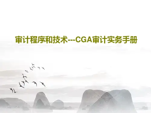审计程序和技术---CGA审计实务手册共90页文档