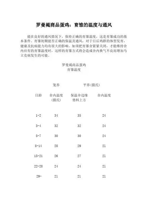 罗曼褐商品蛋鸡