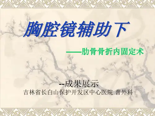 胸腔镜辅助下肋骨骨折内固定术PPT
