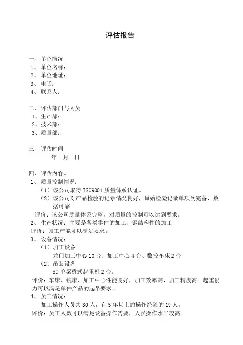 评估报告