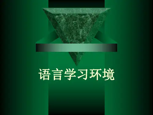 语言学习环境