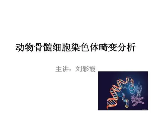 染色体畸变