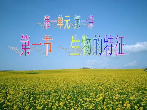 人教版七年级生物上册第一单元第一章第一节  生物特征 课件(共45张PPT)