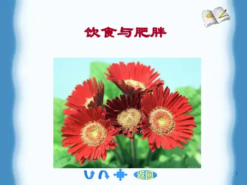 饮食与肥胖专题(课堂PPT)