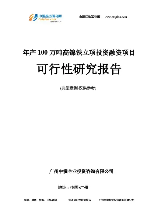 年产100万吨高镍铁融资投资立项项目可行性研究报告(非常详细)