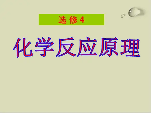 化学反应原理序言PPT下载