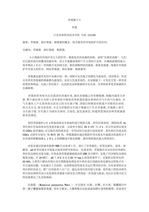 霉菌在环境保护中的作用