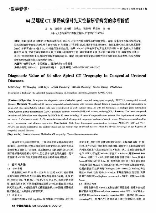 64层螺旋CT尿路成像对先天性输尿管病变的诊断价值