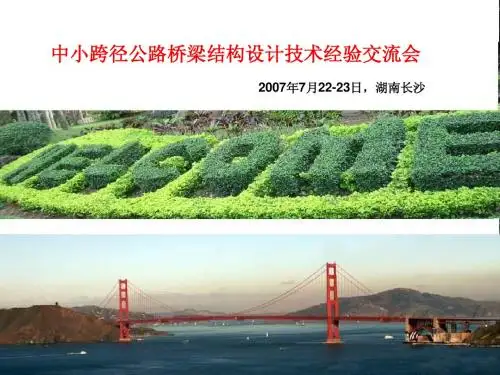 中小跨径公路桥梁设计技术探讨--20070722 (NXPowerLite)