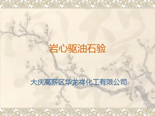 岩心驱替PPT课件