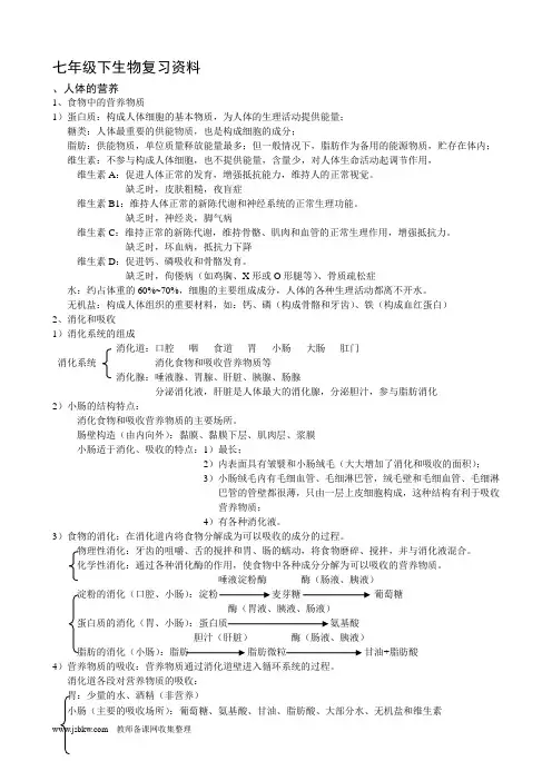 初一下学期生物复习资料