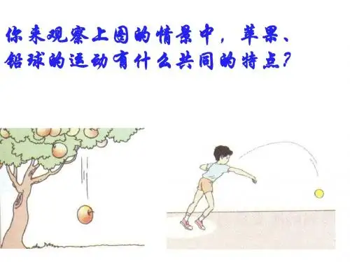 八年级物理重力课件4