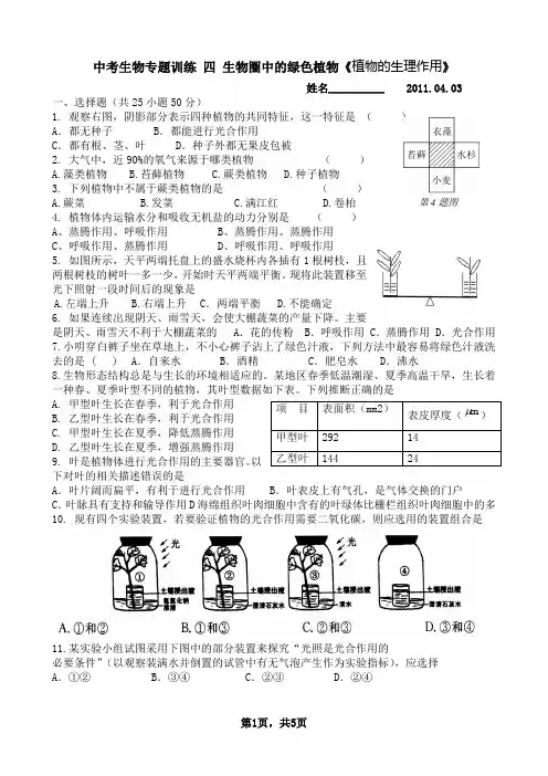 中考生物专题训练 四 生物圈中的绿色植物