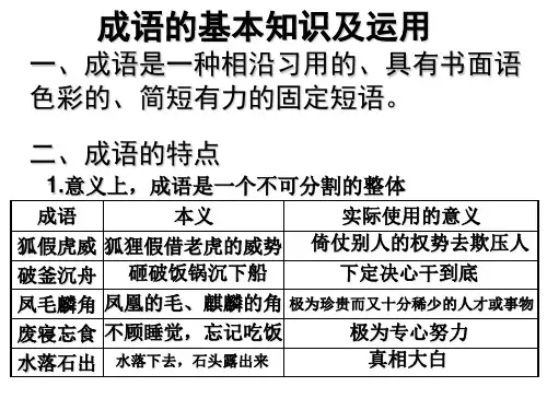 成语的基本知识及运用