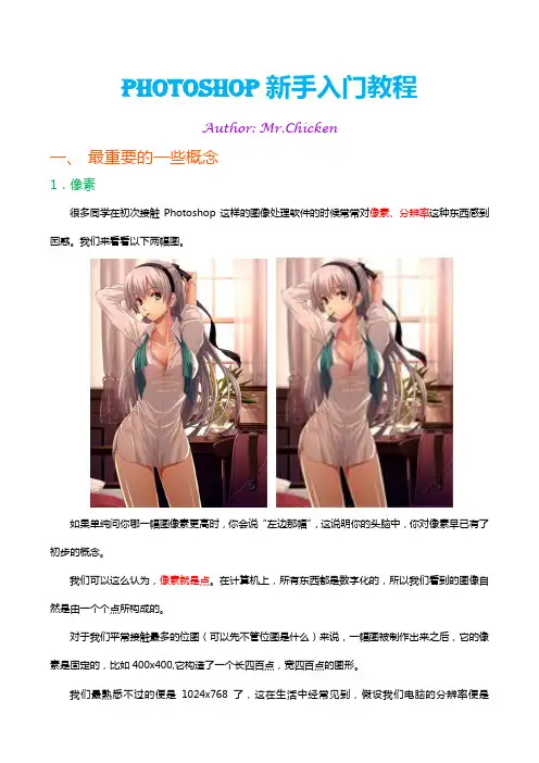 Photoshop菜鸟入门教程(一)