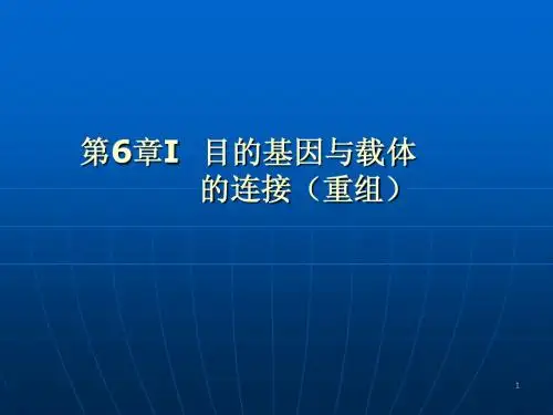 第六章I_目的基因与载体的连接