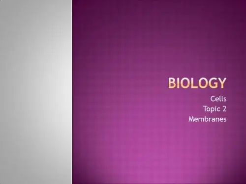 membranes细胞膜