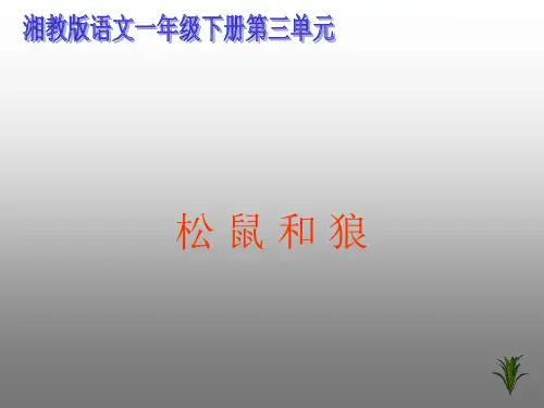 湘教版一年级语文下册《松鼠和狼》课件