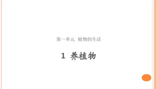 人教鄂教版二年级科学上册养植物
