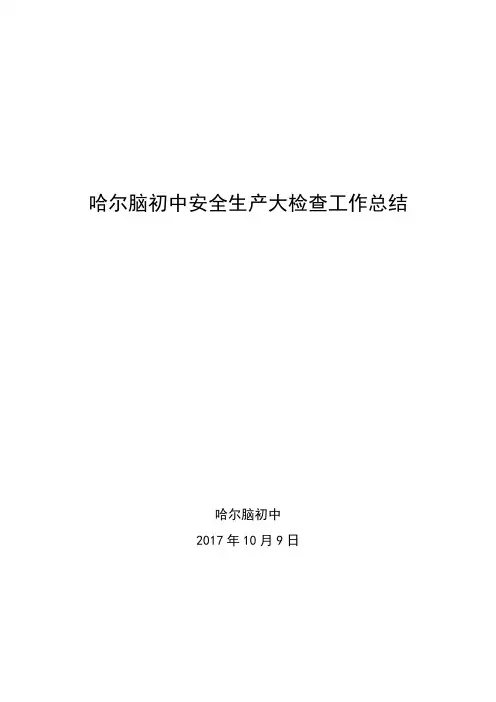 安全生产大检查工作总结