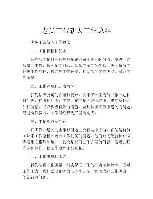 老员工带新人工作总结 2