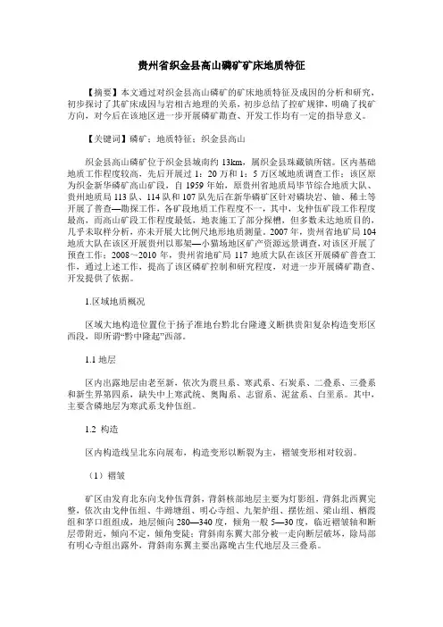 贵州省织金县高山磷矿矿床地质特征