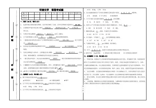 环境化学考试题及答案