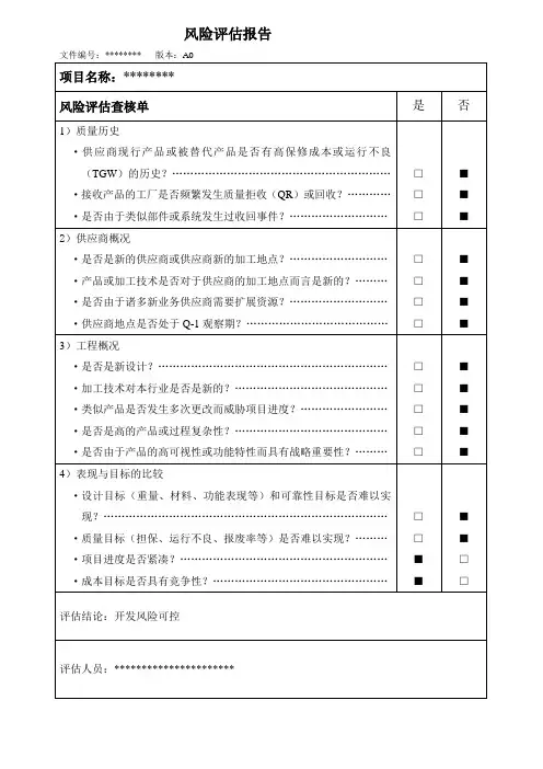 风险评估报告