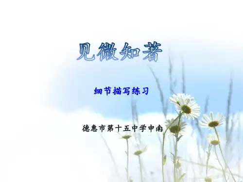 作文6细节描写练习