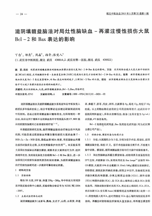 滋阴填髓益脑法对局灶性脑缺血-再灌注慢性损伤大鼠Bcl-2和Bax表达的影响