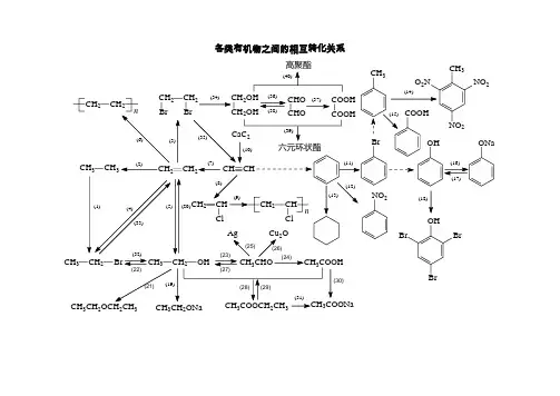 高中化学各类有机物之间的相互转化关系 2