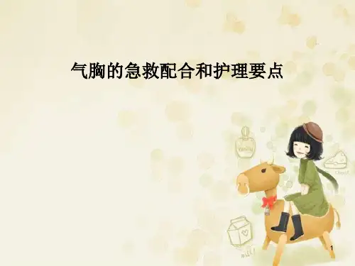 气胸病人的护理精品PPT课件新版