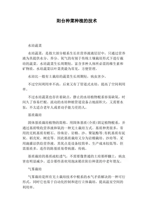 阳台种菜种植的技术