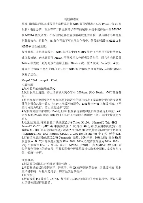 明胶酶谱法