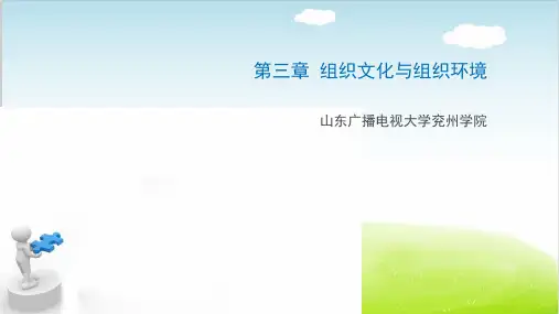 组织文化与组织环境概述PPT(共 30张)