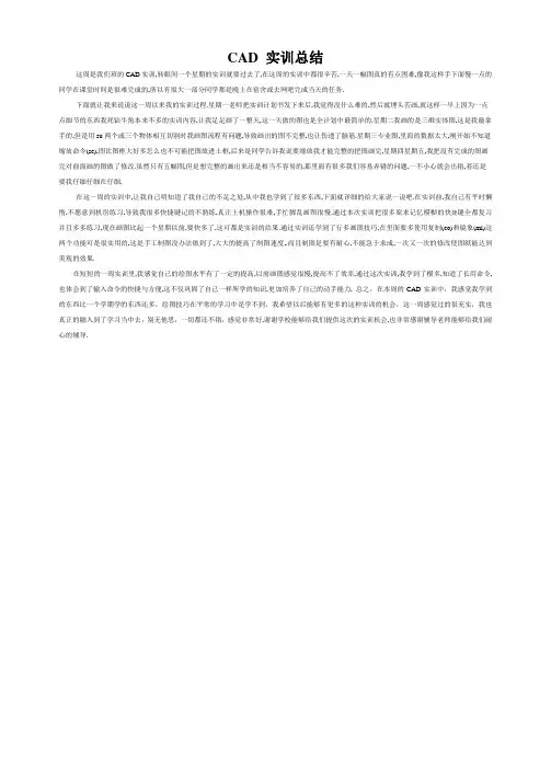 CAD 实训总结