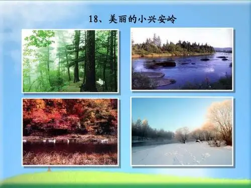 18、美丽的小兴安岭