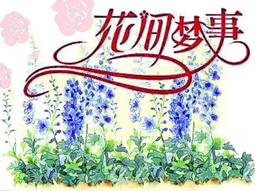 送父母的花