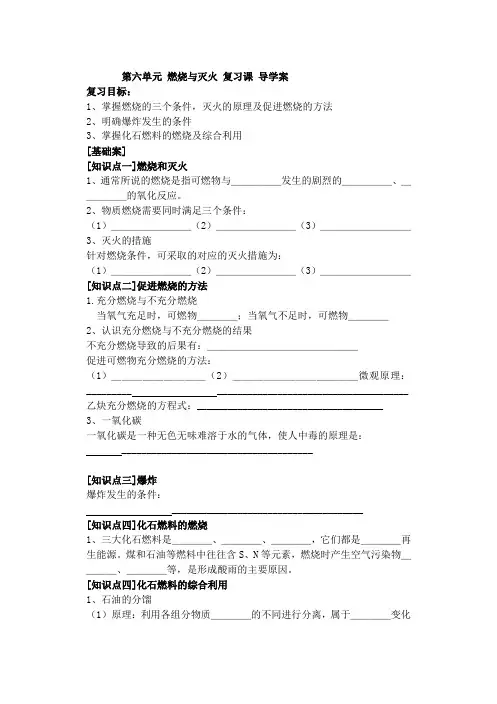 燃烧与燃料复习