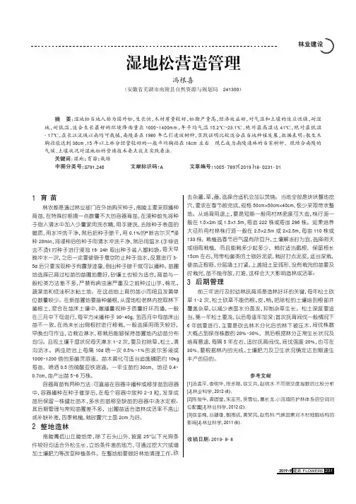 湿地松营造管理