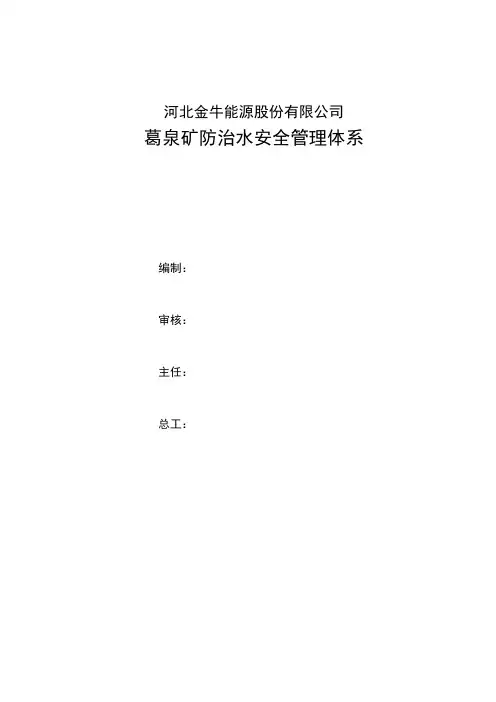 防治水安全管理体系