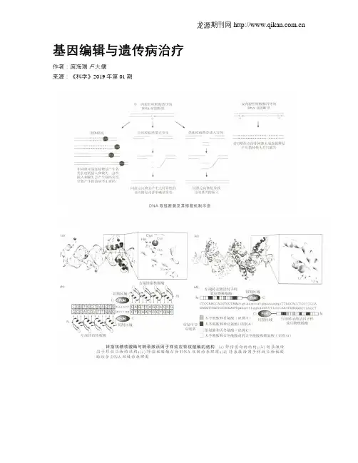 基因编辑与遗传病治疗