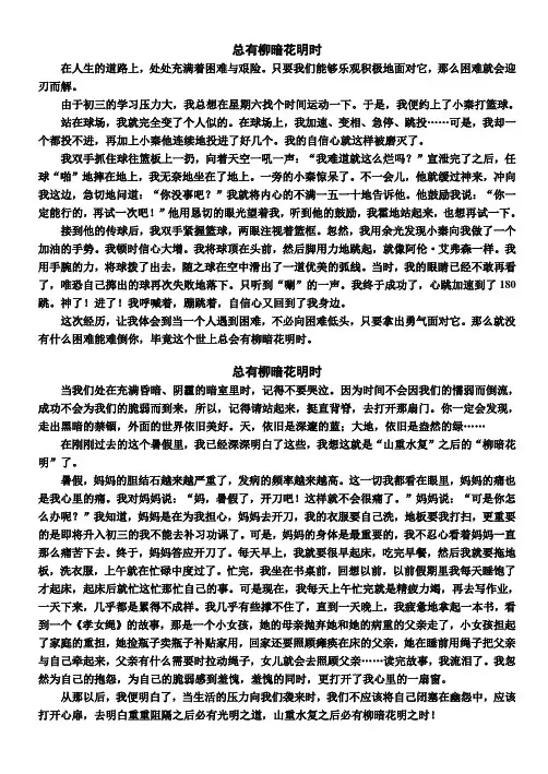 总有柳暗花明时