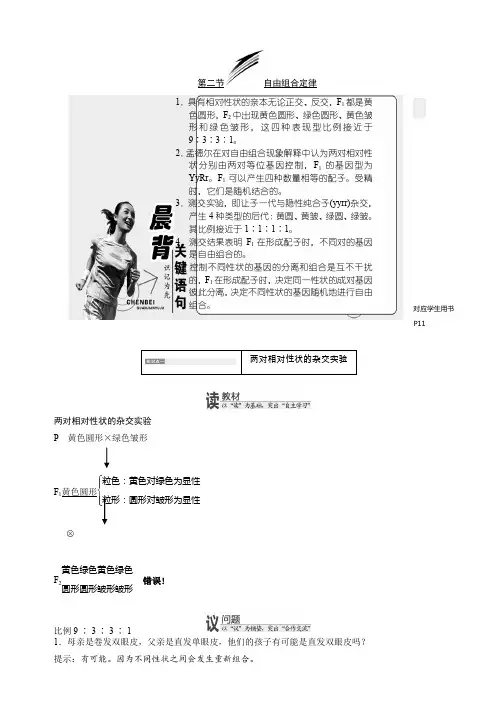 高中生物必修二学案：第一章 第二节 自由组合定律 Word版含答案