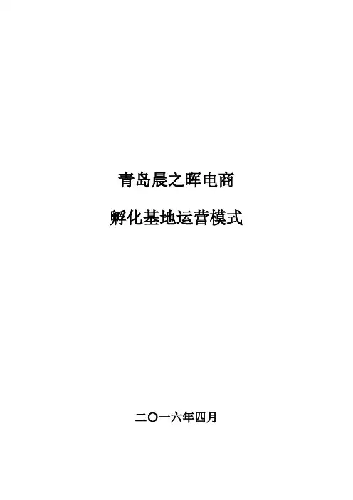 孵化基地运营方案 2