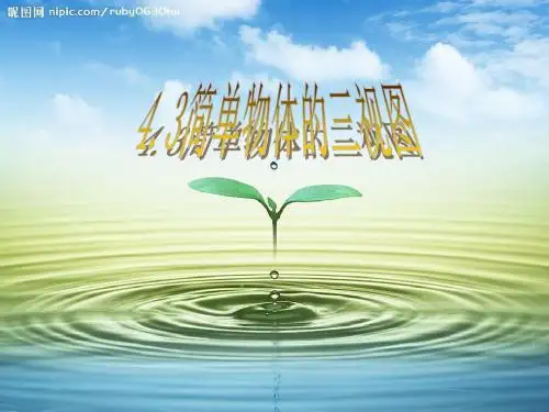 数学：4.3《简单物体的三视图》课件2(九年级下浙教版)