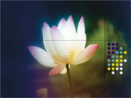 花卉企业物流方案2