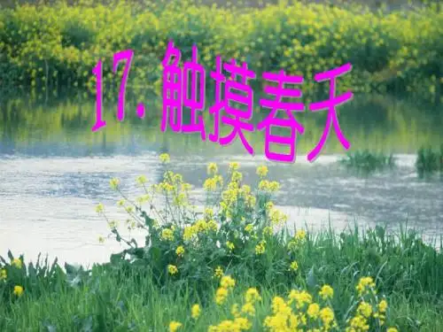 17_触摸春天(公开课)