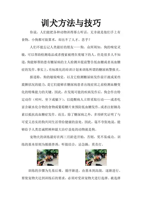 训犬方法与技巧
