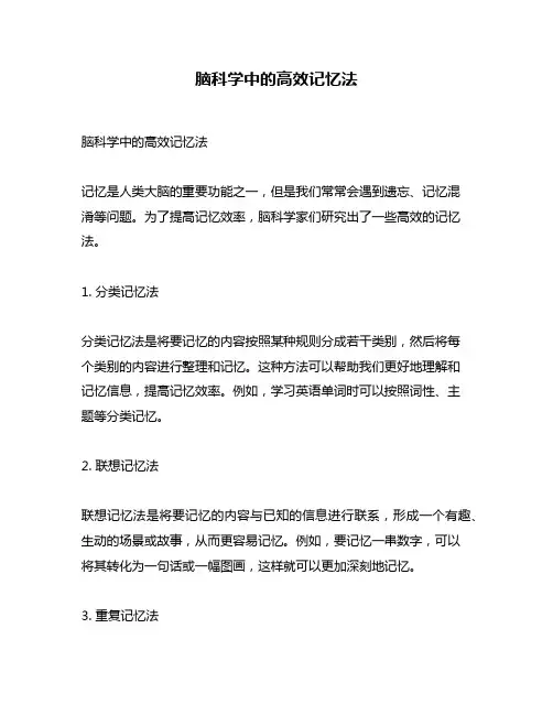 脑科学中的高效记忆法